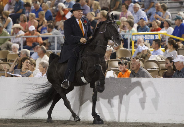 A proposed federal rule contains game-changing reforms to end the soring of Tennessee walking horses – where trainers put flesh-burning chemicals on the horse's feet, or place foreign objects between the shoe and the hoof.