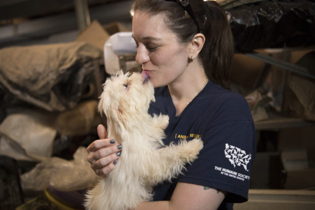 In recent years, The HSUS has assisted with more than two dozen puppy mill rescue operations in North Carolina.