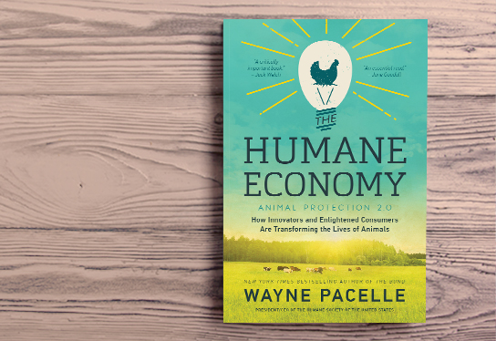 In The Humane Economy, I argue that we are at a turning point in our relationship with animals, and when we look at animal issues through an economic lens, there’s a more compelling argument than ever to do right by animals.