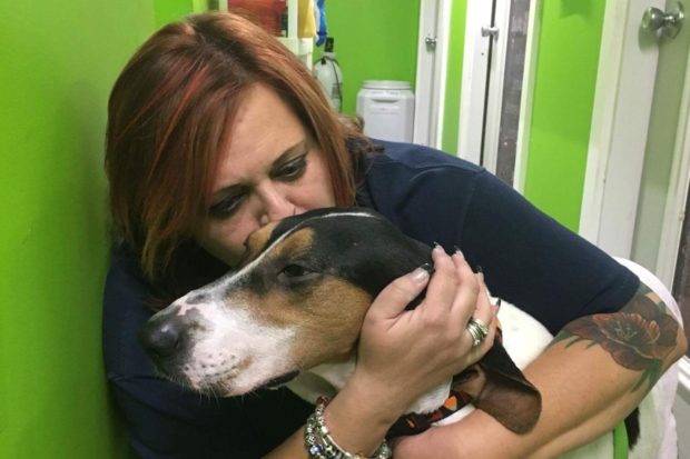 Clarabelle was left behind with her puppies when a family left their foreclosed property in Georgia. Suffering from severe infection, she needed a number of surgeries and was nursed back to health by Pets Plus adoption coordinator Dawn Bateman, pictured above with Clarabelle. Now, she is a happy, healthy dog living with her new family.