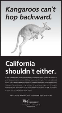 HSUS kangaroo leather ad in Sacramento Bee