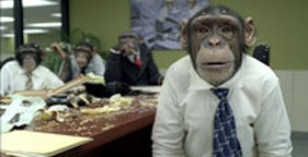 Chimpanzees in CareerBuilder TV commercial
