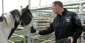 Scotlund Haisley, HSUS Emergency Services, feeds a rescued horse in Nebraska