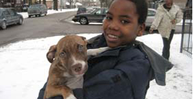 Young boy holding pit bull