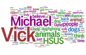 Word cloud of blog reader reaction to Michael Vick