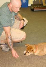 A Washington Humane Society Dog Tags program training session between soldier and adoptable dog