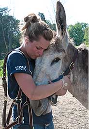 Hugs, Hay and Better Health for 49 Rescued Horses