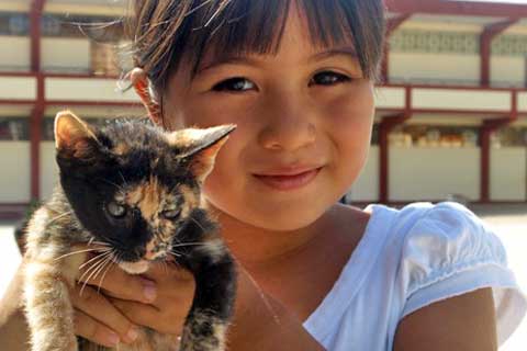 Young girl and cat at free spay/neuter clinic hosted by Grupo Caridad in Mancora, Peru