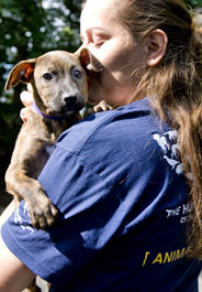 One of 33 dogs The HSUS transported from two overcrowded Louisiana animal shelters to the D.C. area