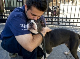 Rescued dog gets a hug