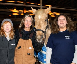 One Horse’s Inspiring Recovery after Arkansas Rescue