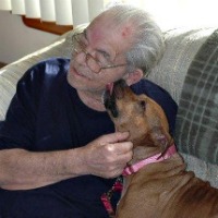Abby the pit bull with her family's grandfather