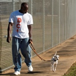 Shelter at Louisiana Prison Offers Second Chances for Pets and People