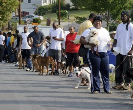 Reaching Out to Help Pets in Atlanta
