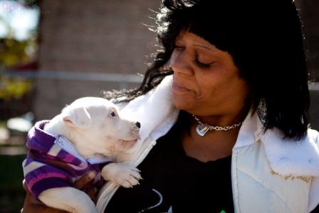 Former Chicago Students Give Back by Helping Pets