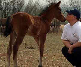 Rescued foal named Moonstruck with Desiree Walling