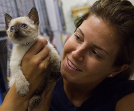 Tara Loller with The HSUS holds a kitten rescued from a massive Florida hoarding case