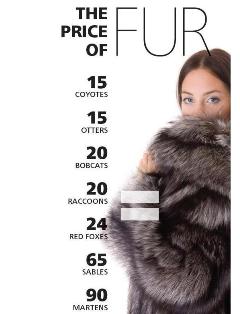 Price of fur graphic