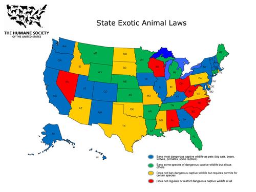 St_exotics_laws_map