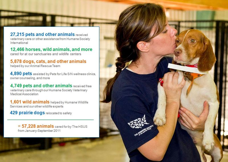 HSUS's direct care for animals in first three quarters of 2011