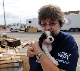Laura Bevan of The HSUS with rescued puppy Bertie
