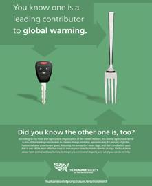 Global warming flyer