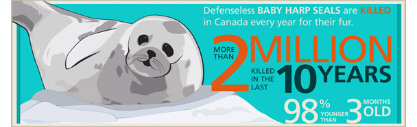 Seals Infographic