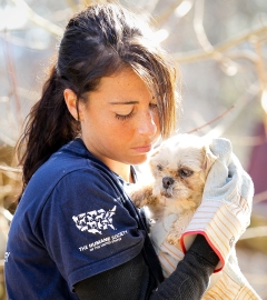 North Carolina puppy mill rescue