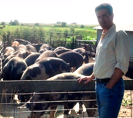 Wayne Pacelle visiting pig farm