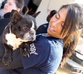 Stokes County, North Carolina puppy mill rescue