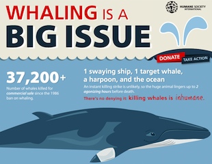 The international whaling discount commission