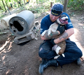 Michigan dogfighting rescue