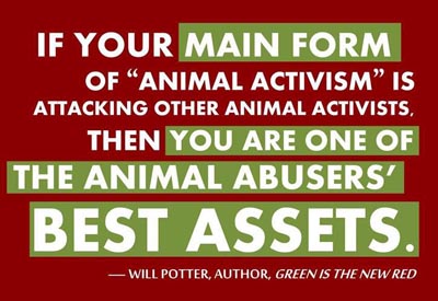 It’s Time to Unite for Animals