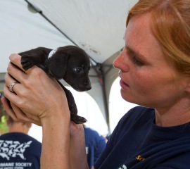 HSUS South Carolina puppy mill rescue