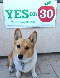 Sutter Brown - Yes on Prop 30