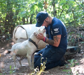 Michigan dogfighting rescue 2012