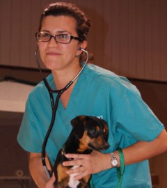 Ensuring Veterinary Care for All Pets