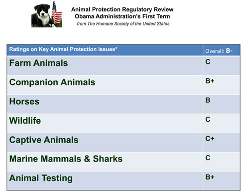 The Obama Administration’s First Term – Animal Protection Record