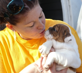 HSUS volunteer at North Carolina puppy mill rescue