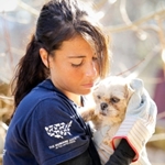HSUS Puppy Mill Rescue