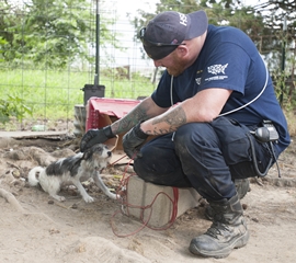 Dramatic Animal Rescue in Arkansas