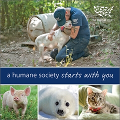 A Humane Society Starts With You