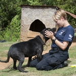 Our Top Achievements for Dogs and Cats, at Home and Abroad