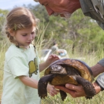 Gopher Tortoise Relocation Project