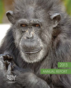 The HSUS’ 2013 Annual Report: Helping Animals in Crisis, Driving Transformational Change