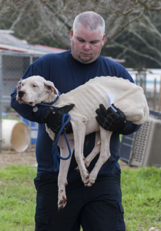 Alabama dog rescue
