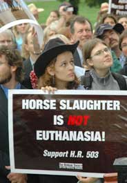 Animal advocates at HSUS anti-horse slaughter rally on Capitol Hill