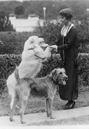 Grace Coolidge with two dogs