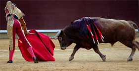 Matador and bull in bullfighting ring in Spain