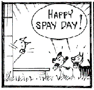 MUTTS Spay Day USA 2008 strip